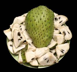 http://thongtinberlin.de/allg/photo/Soursop-lg.jpg