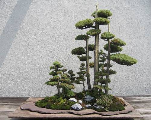 http://enka2.netorage.com:9711/harddisk/user/lyk36/phoflower03/z01-22.jpg