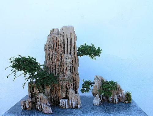 http://enka2.netorage.com:9711/harddisk/user/lyk36/phoflower03/z01-23.jpg
