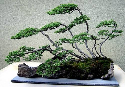 http://enka2.netorage.com:9711/harddisk/user/lyk36/phoflower03/z22.jpg