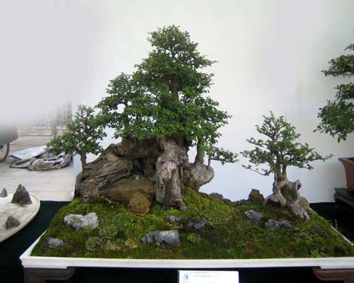 http://enka2.netorage.com:9711/harddisk/user/lyk36/phoflower03/b07.jpg