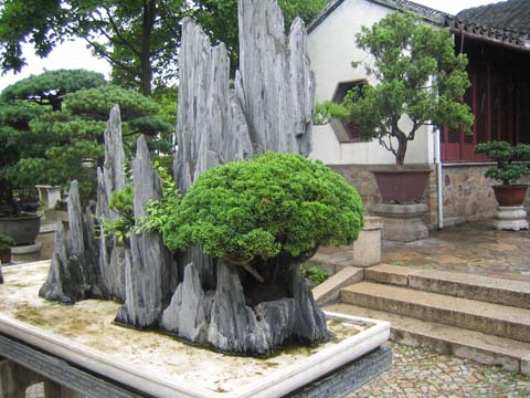 http://enka2.netorage.com:9711/harddisk/user/lyk36/phoflower03/z99-16.jpg