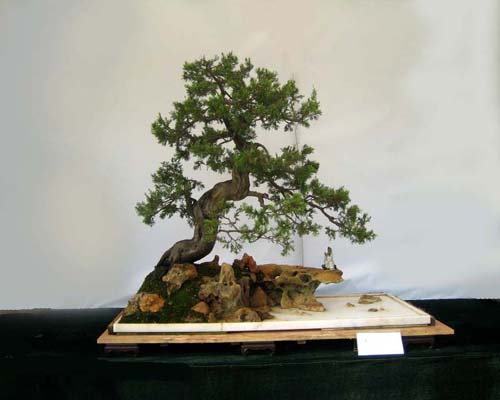 http://enka2.netorage.com:9711/harddisk/user/lyk36/phoflower03/b09.jpg