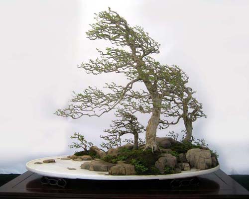 http://enka2.netorage.com:9711/harddisk/user/lyk36/phoflower03/b10.jpg