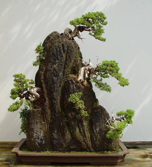 http://enka2.netorage.com:9711/harddisk/user/lyk36/phoflower03/w70.jpg