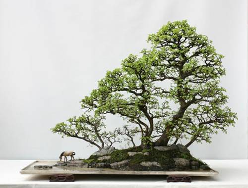 http://enka2.netorage.com:9711/harddisk/user/lyk36/phoflower03/z99-14.jpg
