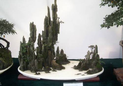 http://enka2.netorage.com:9711/harddisk/user/lyk36/phoflower03/b30-3.jpg