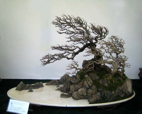 http://enka2.netorage.com:9711/harddisk/user/lyk36/phoflower03/b13.jpg
