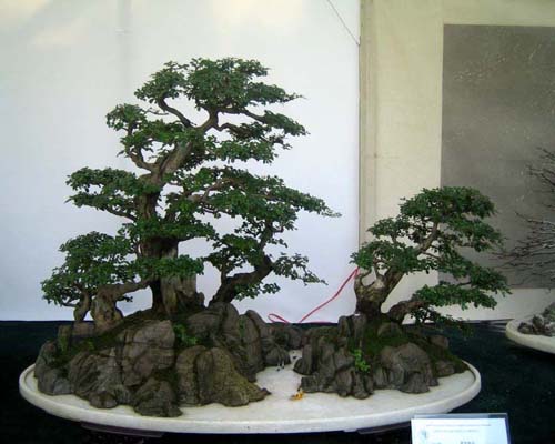 http://enka2.netorage.com:9711/harddisk/user/lyk36/phoflower03/b15.jpg