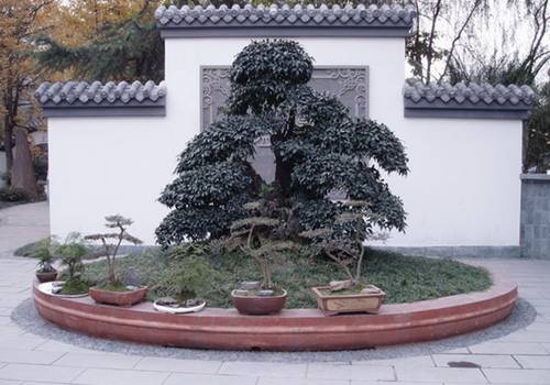 http://enka2.netorage.com:9711/harddisk/user/lyk36/phoflower03/b22.jpg