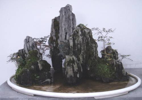 http://enka2.netorage.com:9711/harddisk/user/lyk36/phoflower03/b23.jpg