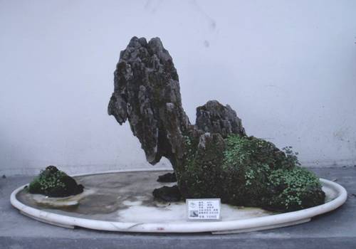 http://enka2.netorage.com:9711/harddisk/user/lyk36/phoflower03/b24.jpg