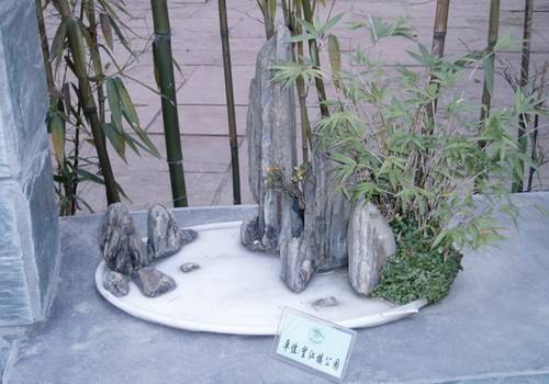 http://enka2.netorage.com:9711/harddisk/user/lyk36/phoflower03/b27.jpg