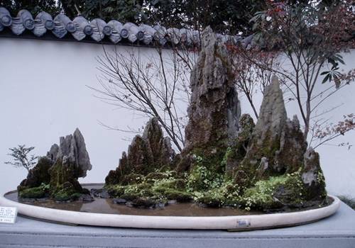 http://enka2.netorage.com:9711/harddisk/user/lyk36/phoflower03/b29.jpg