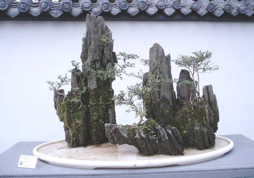 http://enka2.netorage.com:9711/harddisk/user/lyk36/phoflower03/b30-1.jpg