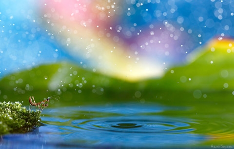 http://tinmung.net/CuocSongMuonMau/2012/01/_Images/Lung-linh-the-gioi-con-trung/image090.jpg